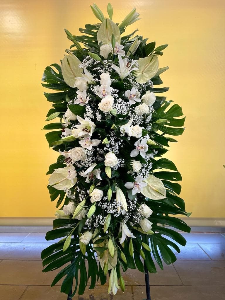 Foto 1 CENTRO COLGANTE Nº1