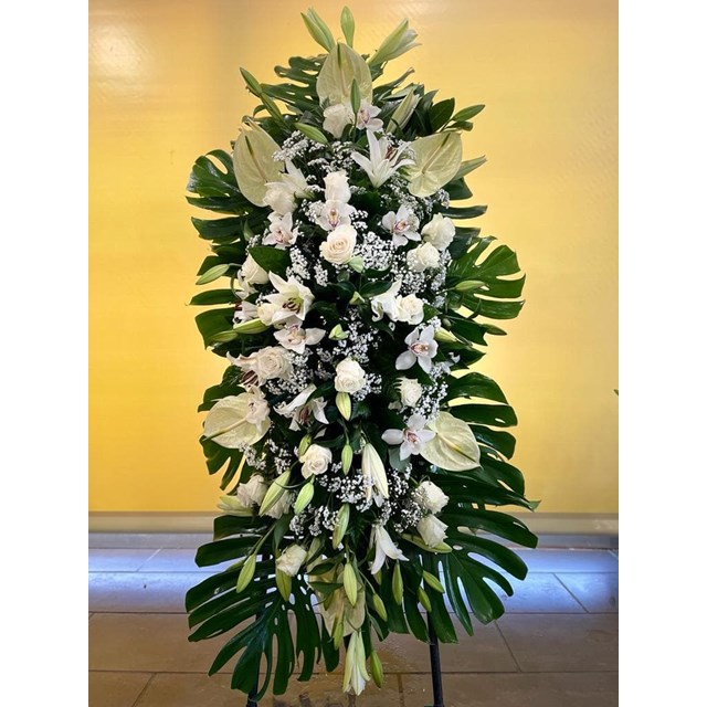 CENTRO COLGANTE Nº1