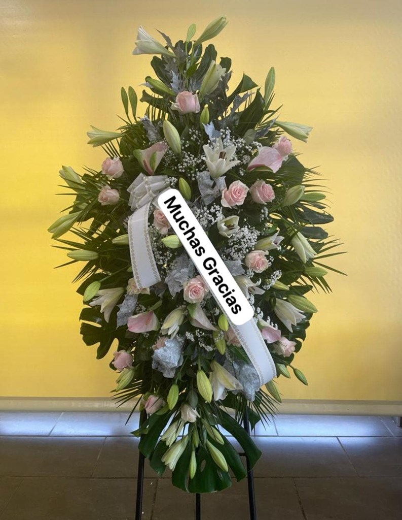 Foto 1 CENTRO COLGANTE Nº2