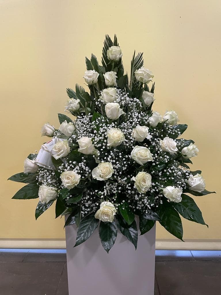 Foto 1 CENTRO Nº 2 DE ROSAS 