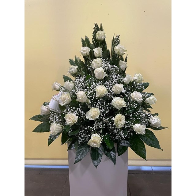 CENTRO Nº 2 DE ROSAS 