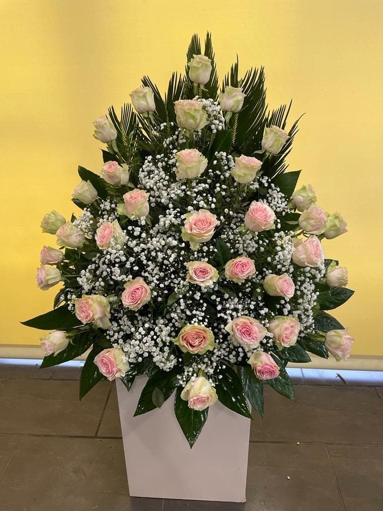 Foto 1 CENTRO Nº3 DE ROSAS