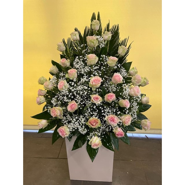 CENTRO Nº3 DE ROSAS