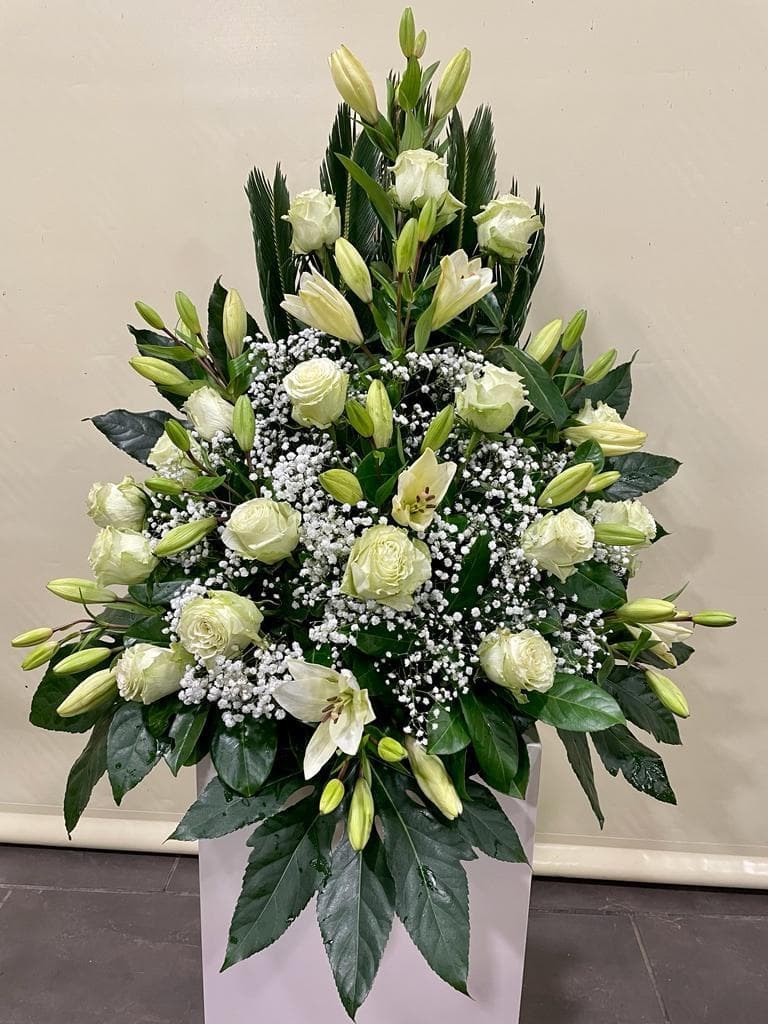 Foto 1 CENTRO VARIADO 1