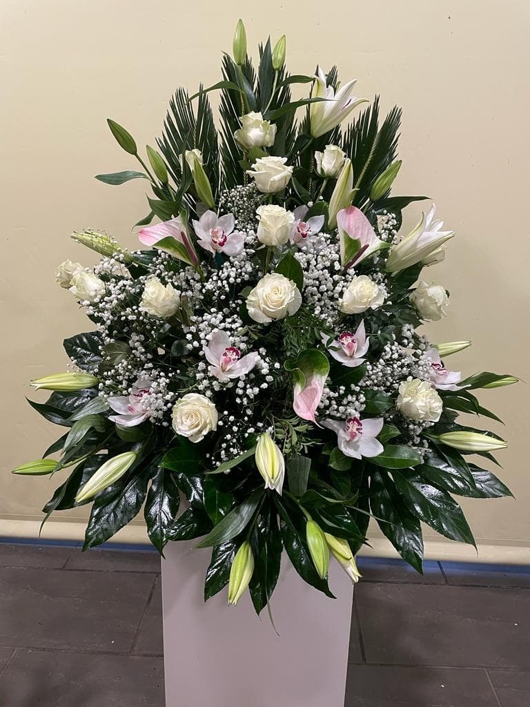 Foto 1 CENTRO VARIADO Nº3