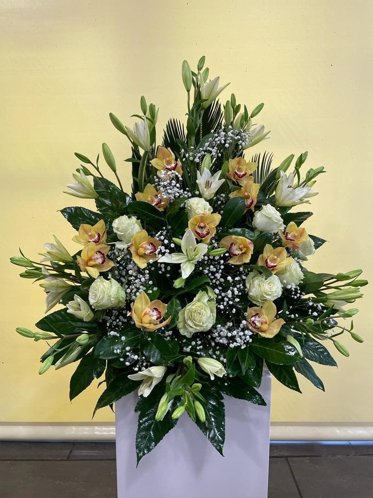 Foto 1 CENTRO VARIADO Nº4